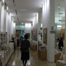 동경(180) 이미지