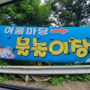 샤니래쉬 | 여름방학 아이랑 가볼만한 장흥 계곡 수영장 물놀이식당 추천 여울마당 여울318베이커리카페