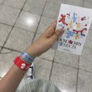 양일로 | 사운드베리페스타 2025 양일 후기