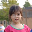 설숲