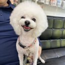 라파동물병원 이미지