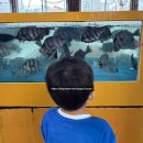 상어활어회센타 | 용인 회포장 맛집 추천｜활주로수산 모둠회 가성비 최고 내돈내산