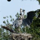 여기산공원 이미지