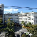 김영도공인중개사사무소 이미지