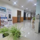 피지낭종 제거 후기 실비보험 외과 마취 외과 비뇨기과 산부인과