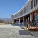 선샤인 반려견 유치원 | '선샤인 밀양 테마파크 반려동물지원센터' 주차꿀팁 미니동물원 먹이주기체험