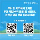 청춘잡화 - 남구 | 청춘잡화