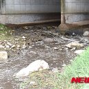 초동축산 이미지