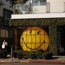 스마일 Smile 이미지