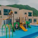 킹콩키즈 네이버블로그