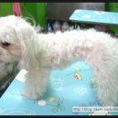 스테이 모량 이미지