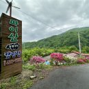 전북캠핑장 마이산 풍혈냉천 캠핑장 다녀온 리얼 후기 투척