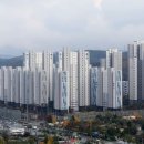 용인시청 제1별관 이미지