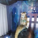 바니베어뮤지엄 이미지