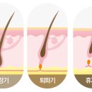더블이펙트