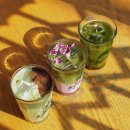 제주더힐링하우스 이미지