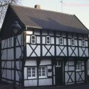 이유사이언스 이미지