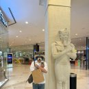 반도 | 두바이 와피몰 카페 추천｜한국 바리스타가 운영하는 반도커피 방문 후기☕️