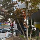 욜로 PC방 전주본점 | 그려 본 적 없는 꿈을 꾸게 해