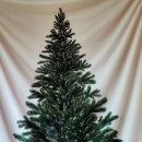 초록이둥지협동조합 이미지