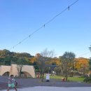 제주올레족발 | [공지] 제주올레캠핑장 내돈내산 후기,제주차박캠핑장으로 추천