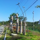 기북면사무소 이미지