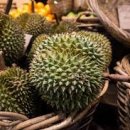 두리안 이미지