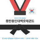 우렁찬 태권도 | 이 여름, 체력, 협동, 창의력까지 꽉 채운 뜨거운 추억☀️ – 백호 여름 오전특강 후기