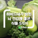 하버드대가 밝힌 뇌 건강에 좋은 식품 5가지 이미지