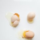 강서제과제빵학원 이미지