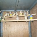 체력단련 이미지