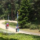 안면도자연휴양림 이미지