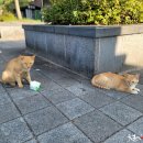 천등산(평택) 이미지