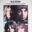 Blackbird 이미지