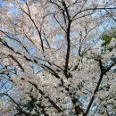 기흥수상골프 이미지