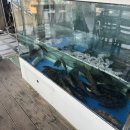 어부명가 이미지