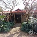 구 경성제국대학 부속 생약 연구소 제주도 시험장 이미지
