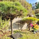 양지바른 이미지