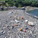 포두동물병원 | 해쓰부, 해양정화 in 욕지도