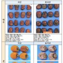 국립농산물 품질관리원 이미지