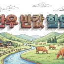 씨에스유통(주)롯데슈퍼 수지점 | 한우 반값 할인 마트 위치 및 AI 재고 확인 방법