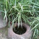 강골민박 이미지