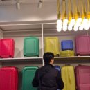 버버리호프 이미지