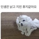 늘멍 | SARANG x6 . 6월 좋아 🧁