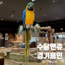 대소어린이집 | 용인 아이랑 갈만한곳 | 실내 동물원 수달앤쥬에서 먹이주기체험 후기