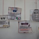 그남자의사진관 이미지