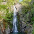 쌍다리주유소 이미지