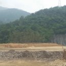 천일조경