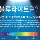 봄봄안경 이미지