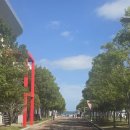 국제근육병장애인협회 | 제45회 전국장애인체육대회 파라 트라이애슬론 심판 후기 1